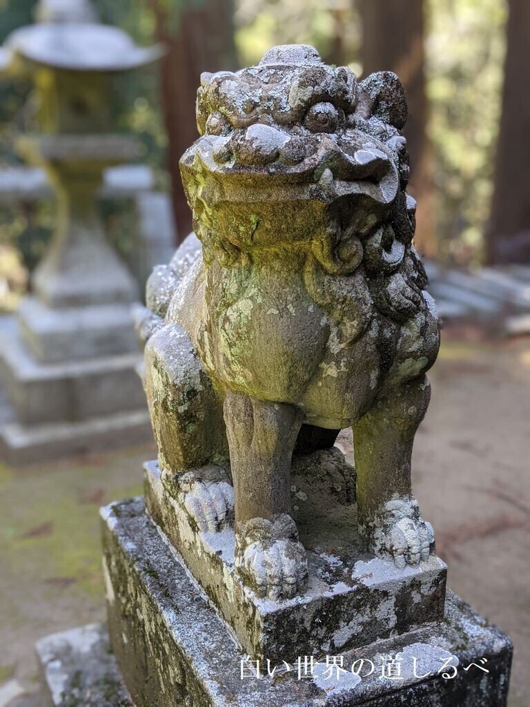 飛鳥川上坐宇須多伎比賣命神社 (9)