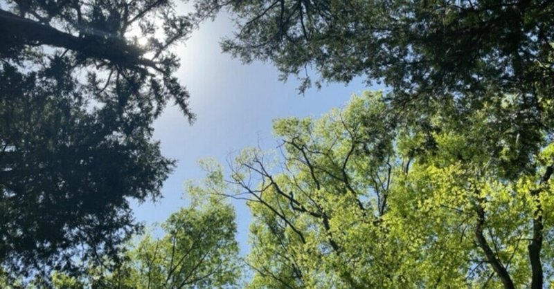 久しぶりのフランス語 Ayumi M Note