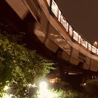 皮膚から綿が出る奇病 綿ふき病 Sekiguti Shinichi Note