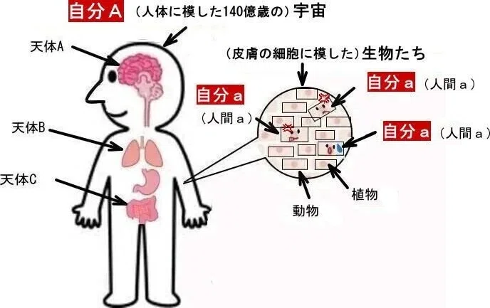 画像39