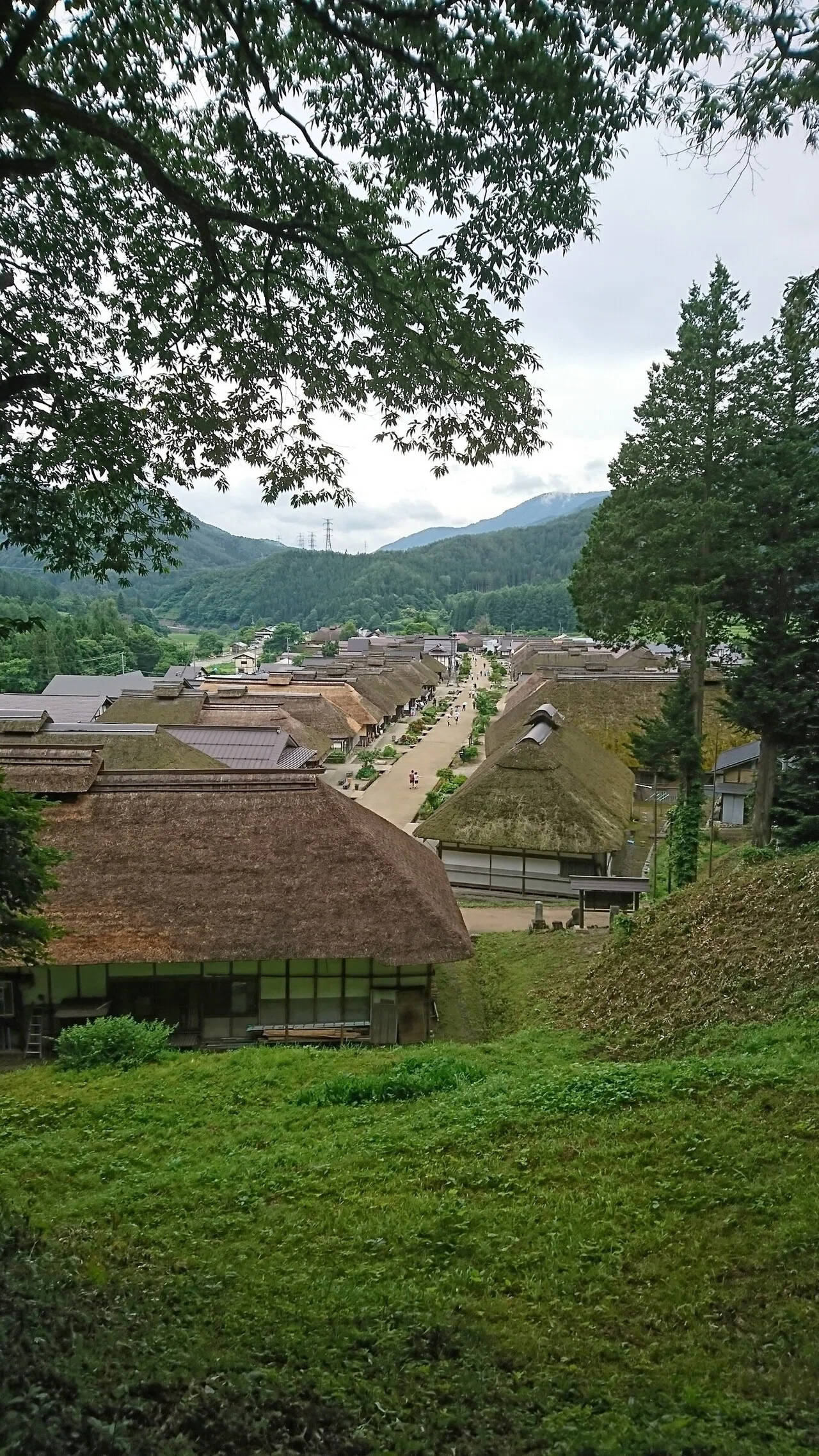 茅葺屋根の材料は、ヨシ・葦・薄・麦藁・藁？そして茅とは。 ～万葉の