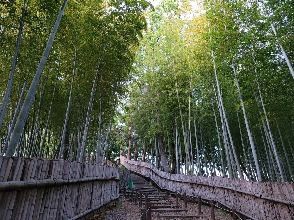 画像3
