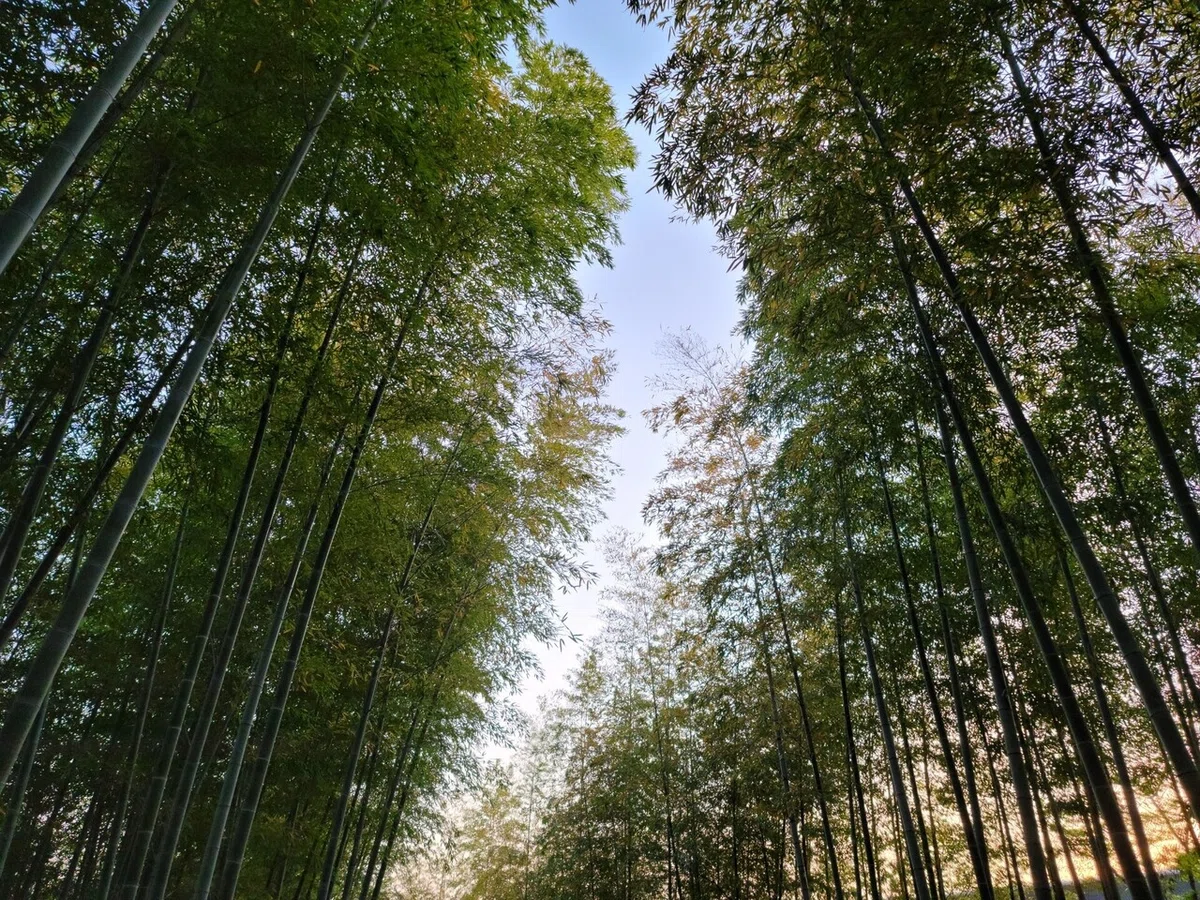 画像7