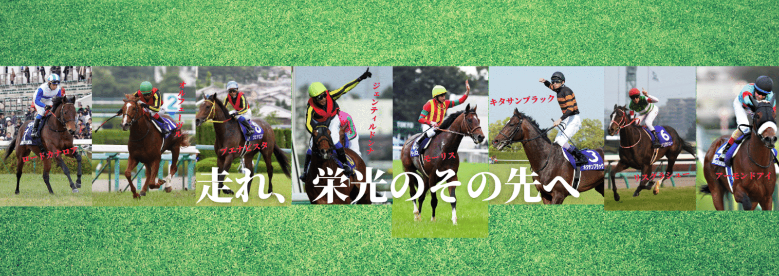 競馬 東スポnote