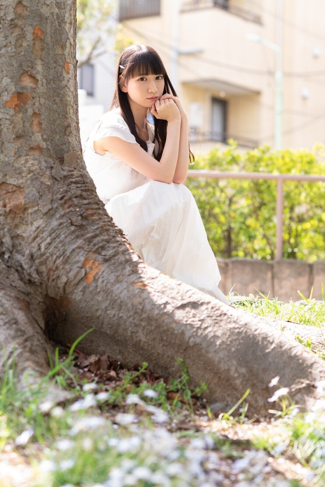 【夏休み特別最終値下げ】美品 Sony Zeiss Planar Carl Zeiss Planar 1.4/85 ZE 作例（ 解放 F1.4での撮影