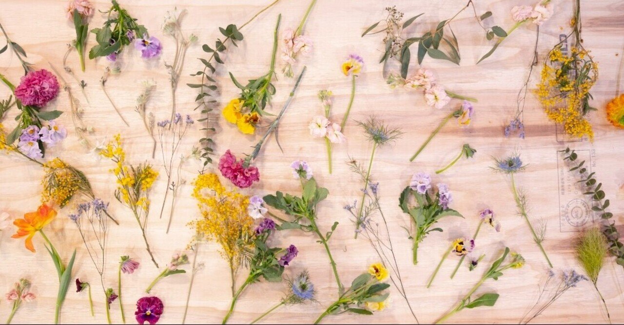 すぐそばにある花でもできる 押し花 の作り方 Greenpiece Note