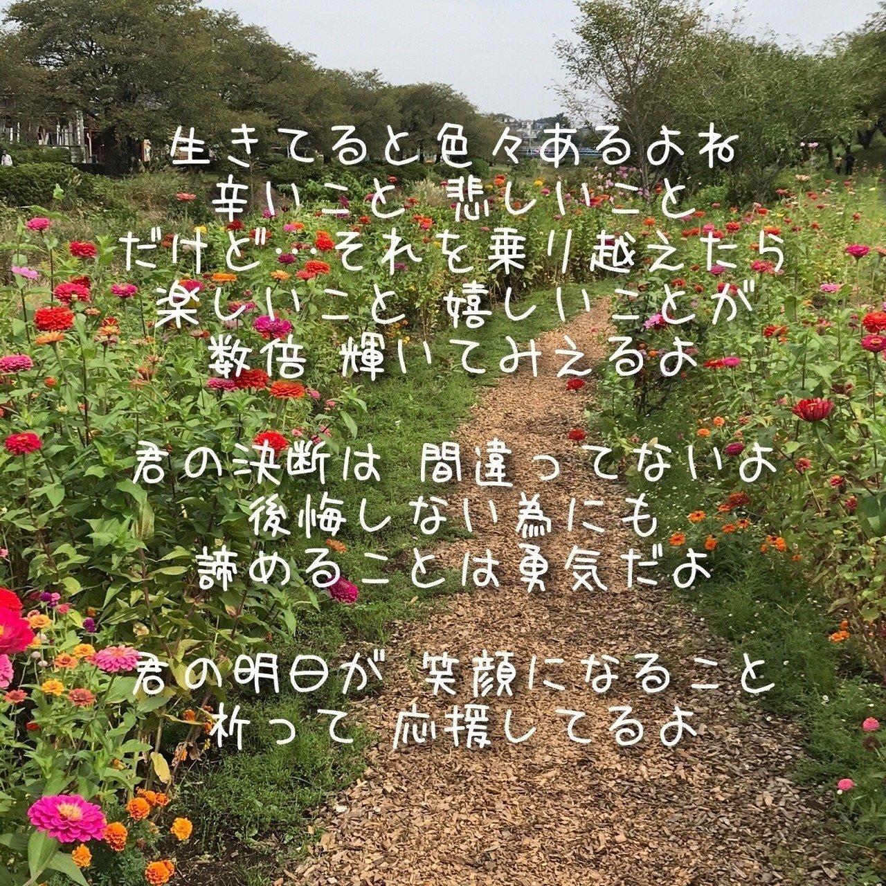 君へ Yoko Blue Note