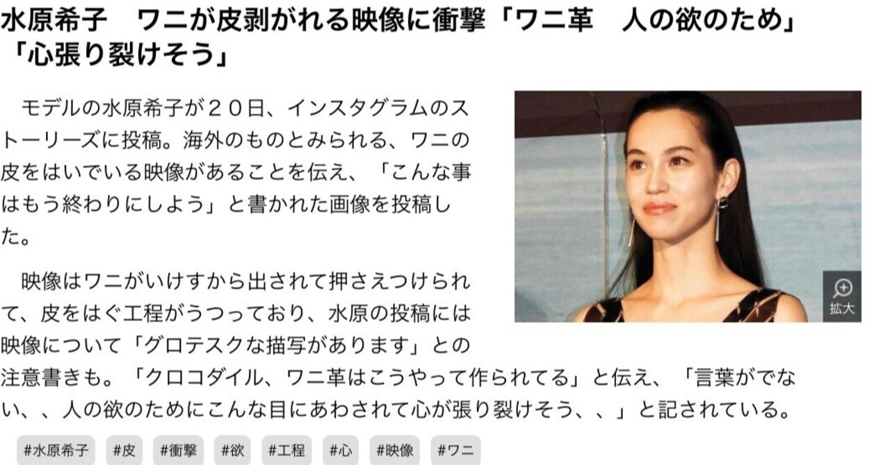 水原希子さんの危うい意見 喜多野土竜 Note