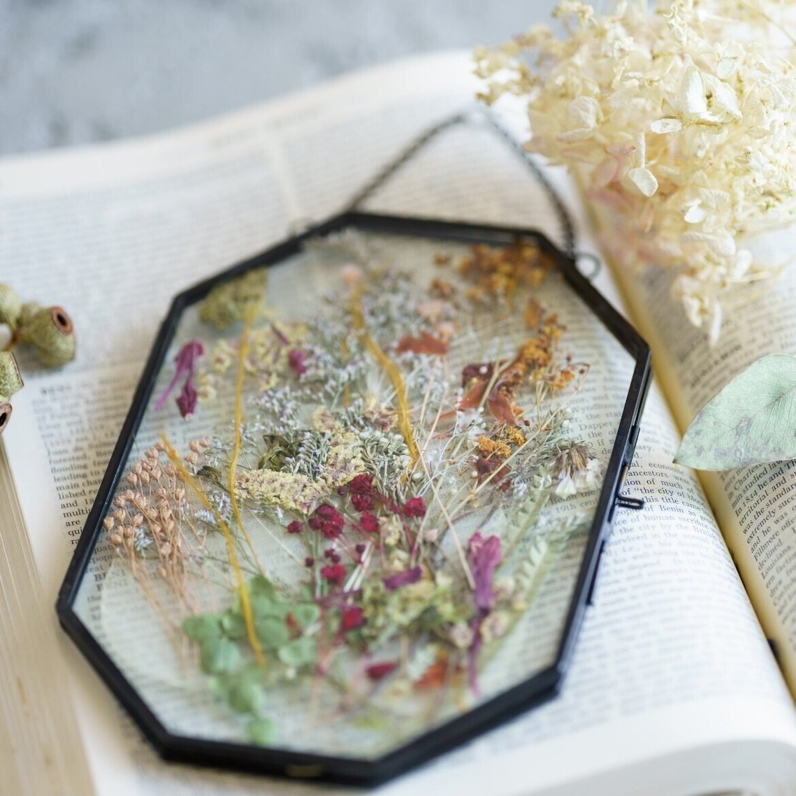すぐそばにある花でもできる 押し花 の作り方 Greenpiece Note