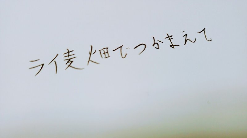 コンピューターの美文字 には嘘が含まれている 増田友人帳 Note