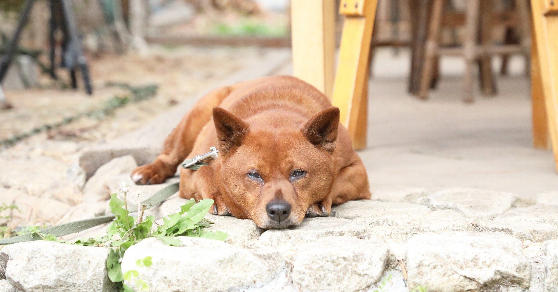 えのブログ 21年4月第3回 声のメルマガ歴史的神回 からだで体験する夢の世界はもうはじまっている 声のメルマガ 服部みれいのすきにいわせてッ Note えのブログ 21年4月第3回 声のメルマガ歴史的神回 からだで体験する夢の世界はもうはじまっている 声のメルマガ 服部みれいのすきにいわせてッ Note