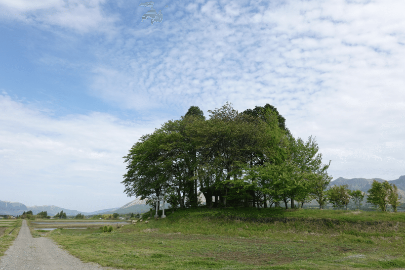 鎮守の森 ひよっこfarmer Kana Note 鎮守の森 ひよっこfarmer Kana Note