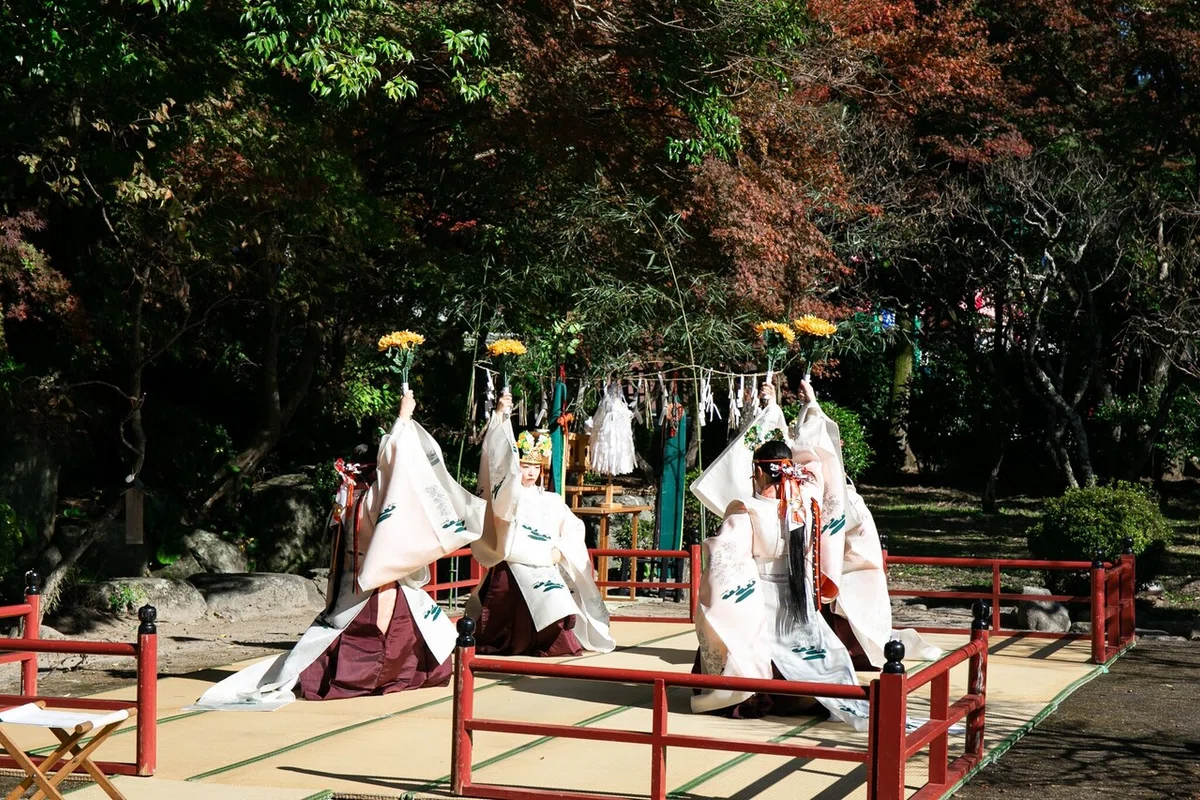 画像7