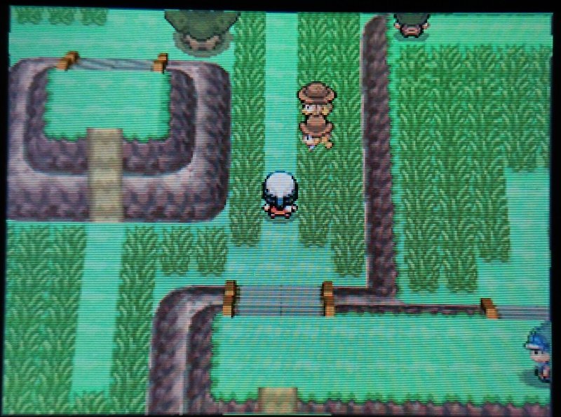プラチナ ギラティナ無双動画を見て理想個体のギラティナで無双した記録 Nero R Pkmn Note プラチナ ギラティナ無双動画を見て理想個体のギラティナで無双した記録 Nero R Pkmn Note