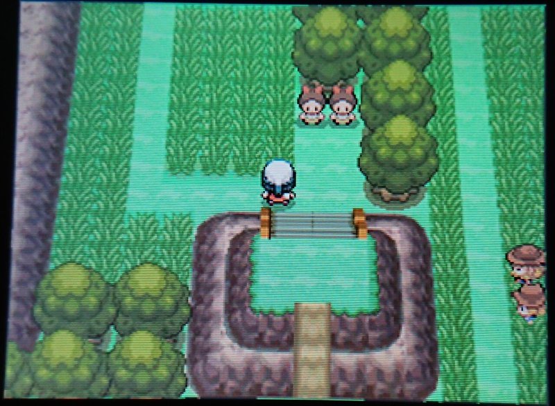 プラチナ ギラティナ無双動画を見て理想個体のギラティナで無双した記録 Nero R Pkmn Note プラチナ ギラティナ無双動画を見て理想個体のギラティナで無双した記録 Nero R Pkmn Note
