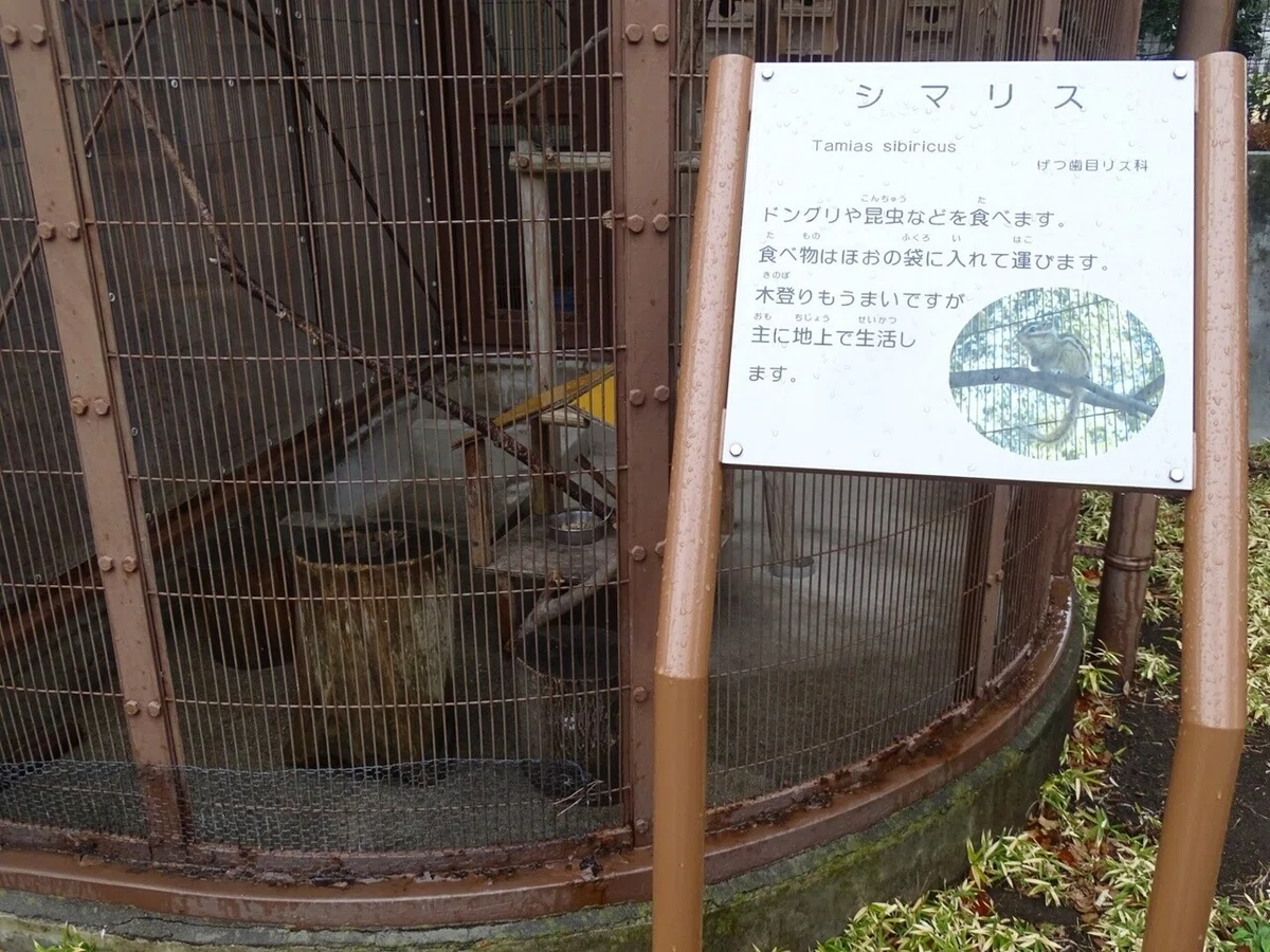 画像7
