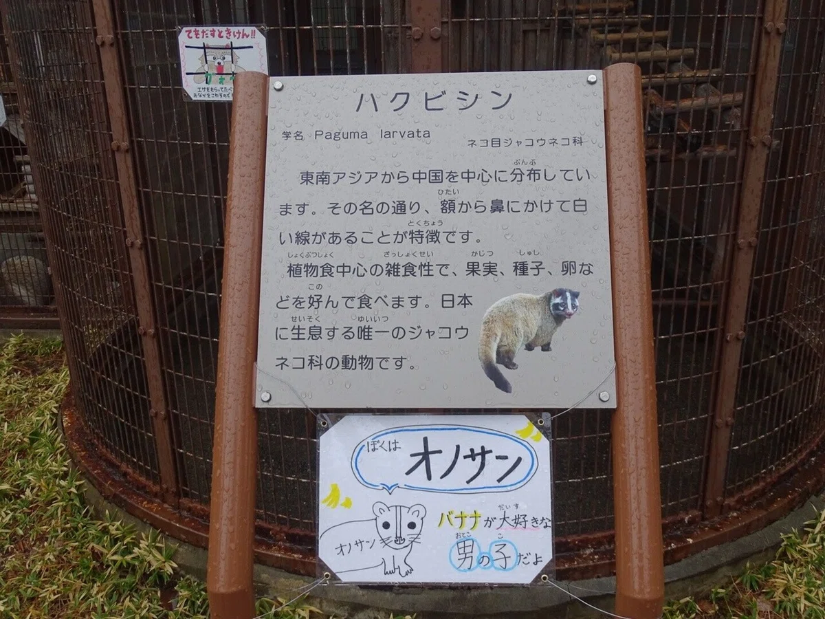 画像6