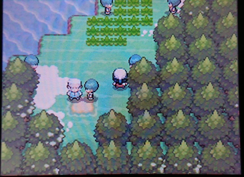 プラチナ ギラティナ無双動画を見て理想個体のギラティナで無双した記録 Nero R Pkmn Note プラチナ ギラティナ無双動画を見て理想個体のギラティナで無双した記録 Nero R Pkmn Note