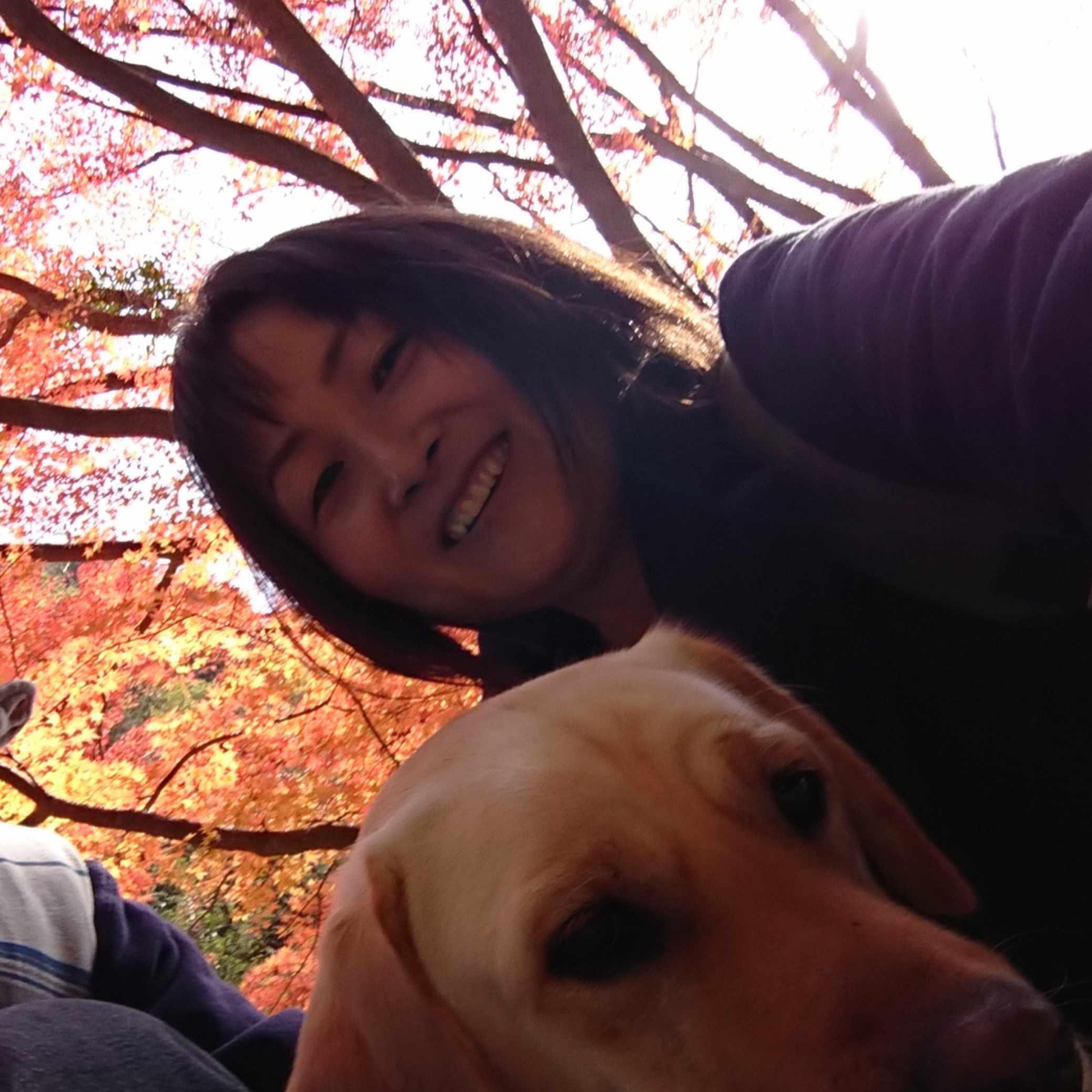 人生を変えてしまうバタフライ効果 たまこ Note