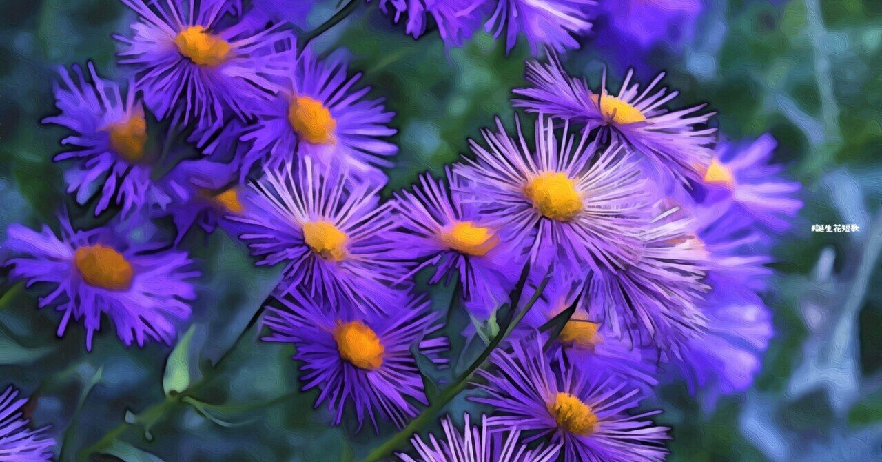 4月22日 誕生花は蝦夷菊 誕生花短歌 御子柴 流歌 Note