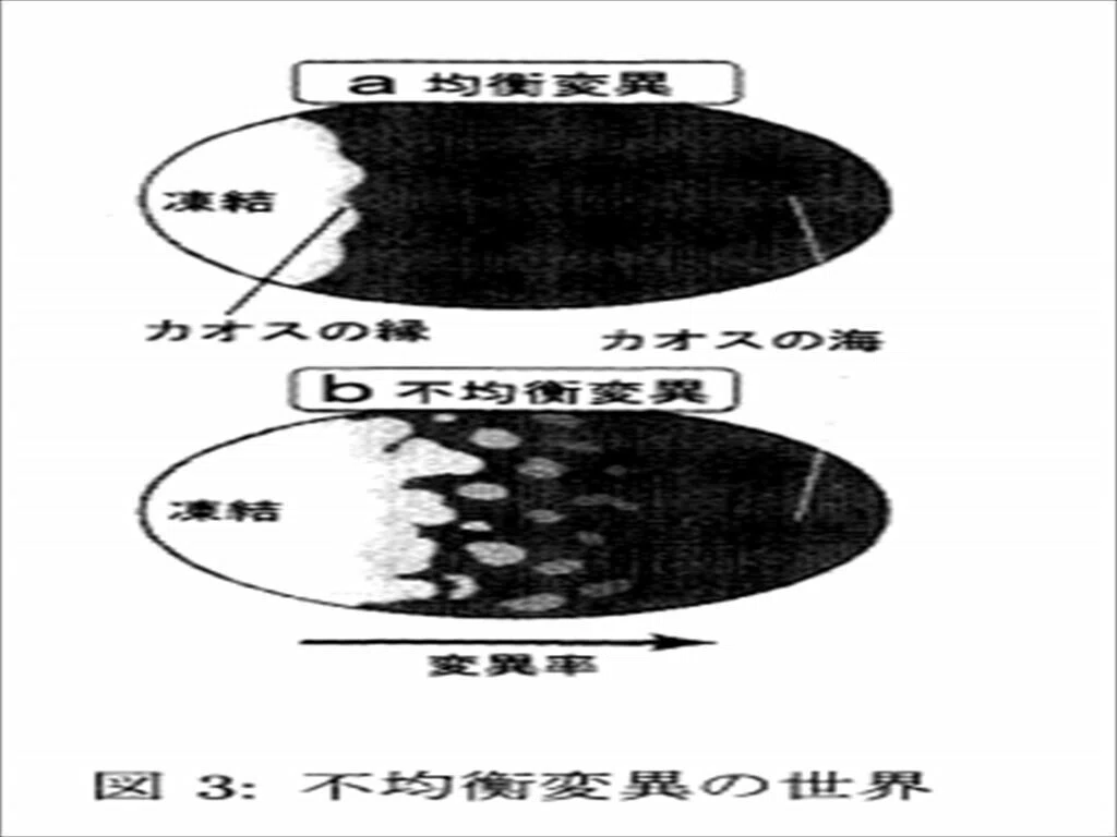不均衡変異の世界_R