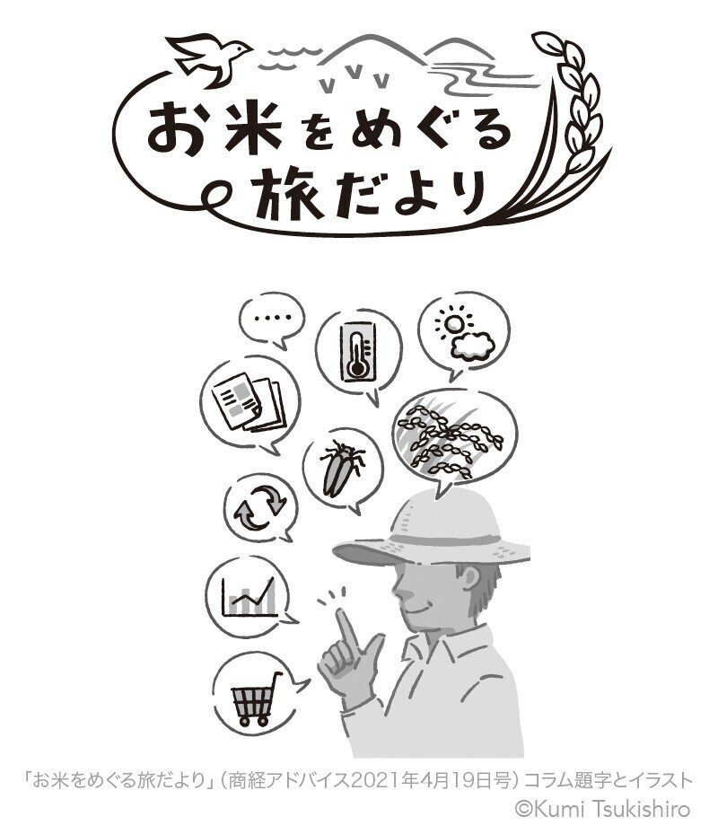 お仕事 お米をめぐる旅だより コラム題字とイラストを担当いたしました ツキシロクミ Note お仕事 お米をめぐる旅だより コラム題字とイラストを担当いたしました ツキシロクミ Note