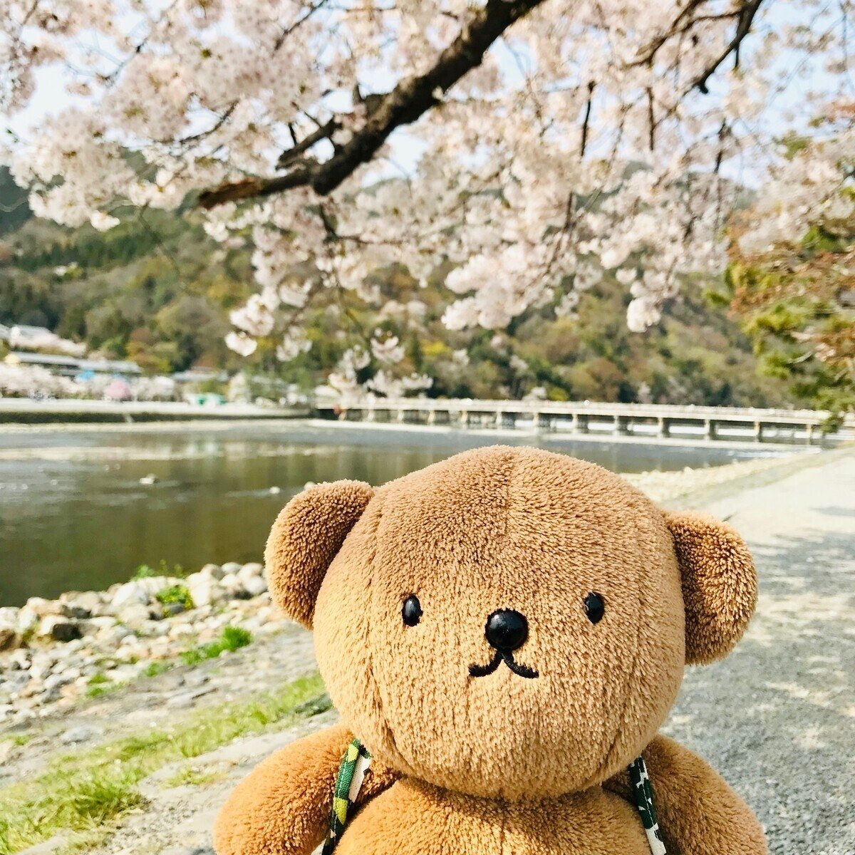 ミッフィーちゃんのパン屋さん「みっふぃー桜きっちん」嵐山店