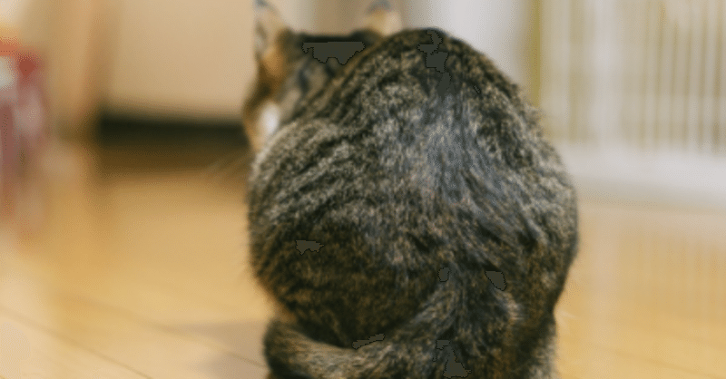 猫と猫背と私 4 気持ちは 姿勢 を変える くどちん オンライン理学療法士 Note 猫と猫背と私 4 気持ちは 姿勢 を変える くどちん オンライン理学療法士 Note