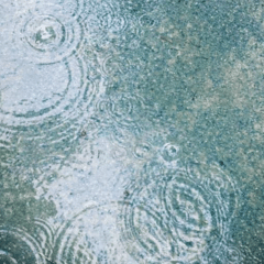 荒木真樹彦60歳誕生日ライブin大阪‼︎ チケットの一般販売開始しており