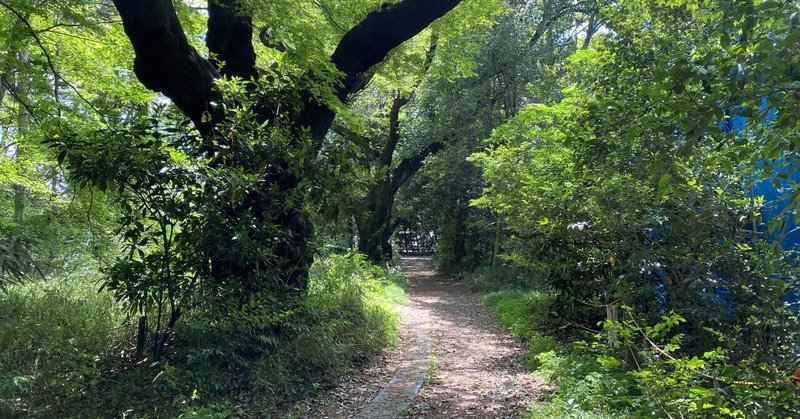 さよならの言葉さえ言えなかったの アボカドロ Note