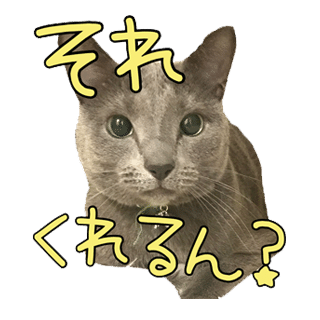 猫カフェに行ってみたいけど むしろ自宅が猫カフェw ココロマンちゃんねる Note 猫カフェに行ってみたいけど むしろ自宅が猫カフェw ココロマンちゃんねる Note