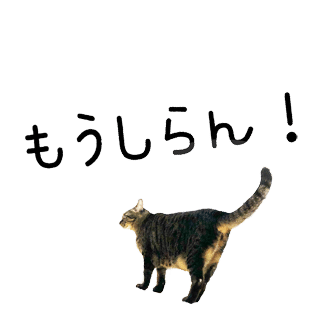 猫カフェに行ってみたいけど むしろ自宅が猫カフェw ココロマンちゃんねる Note 猫カフェに行ってみたいけど むしろ自宅が猫カフェw ココロマンちゃんねる Note