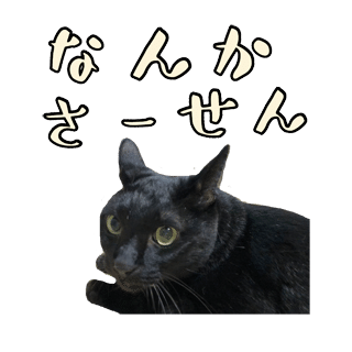 猫カフェに行ってみたいけど むしろ自宅が猫カフェw ココロマンちゃんねる Note 猫カフェに行ってみたいけど むしろ自宅が猫カフェw ココロマンちゃんねる Note