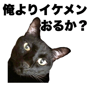 猫カフェに行ってみたいけど むしろ自宅が猫カフェw ココロマンちゃんねる Note 猫カフェに行ってみたいけど むしろ自宅が猫カフェw ココロマンちゃんねる Note