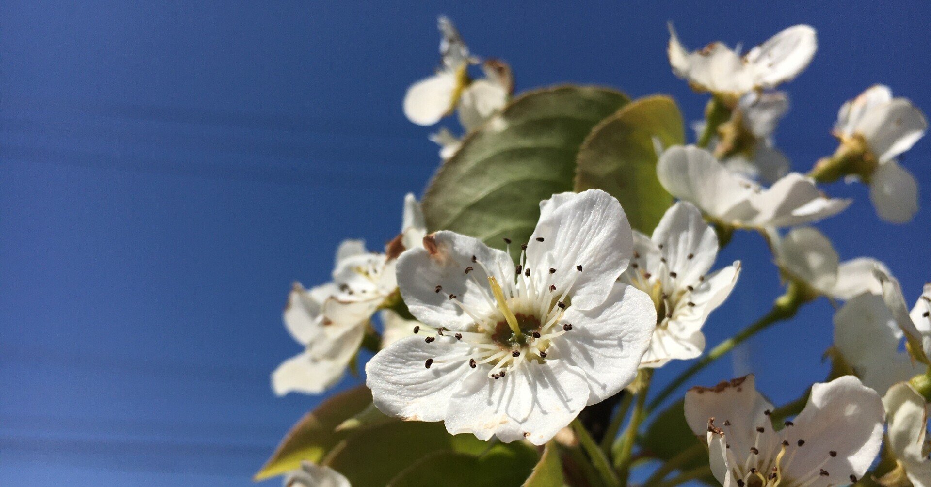 rectangle_large_type_2_301f1be