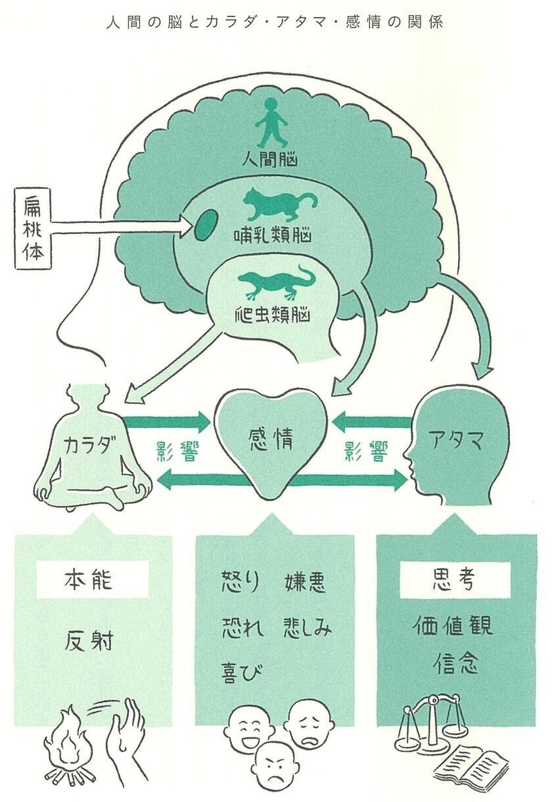 4 アタマが感情をこじらせている 小学館クリエイティブ 実用書編集部 Note
