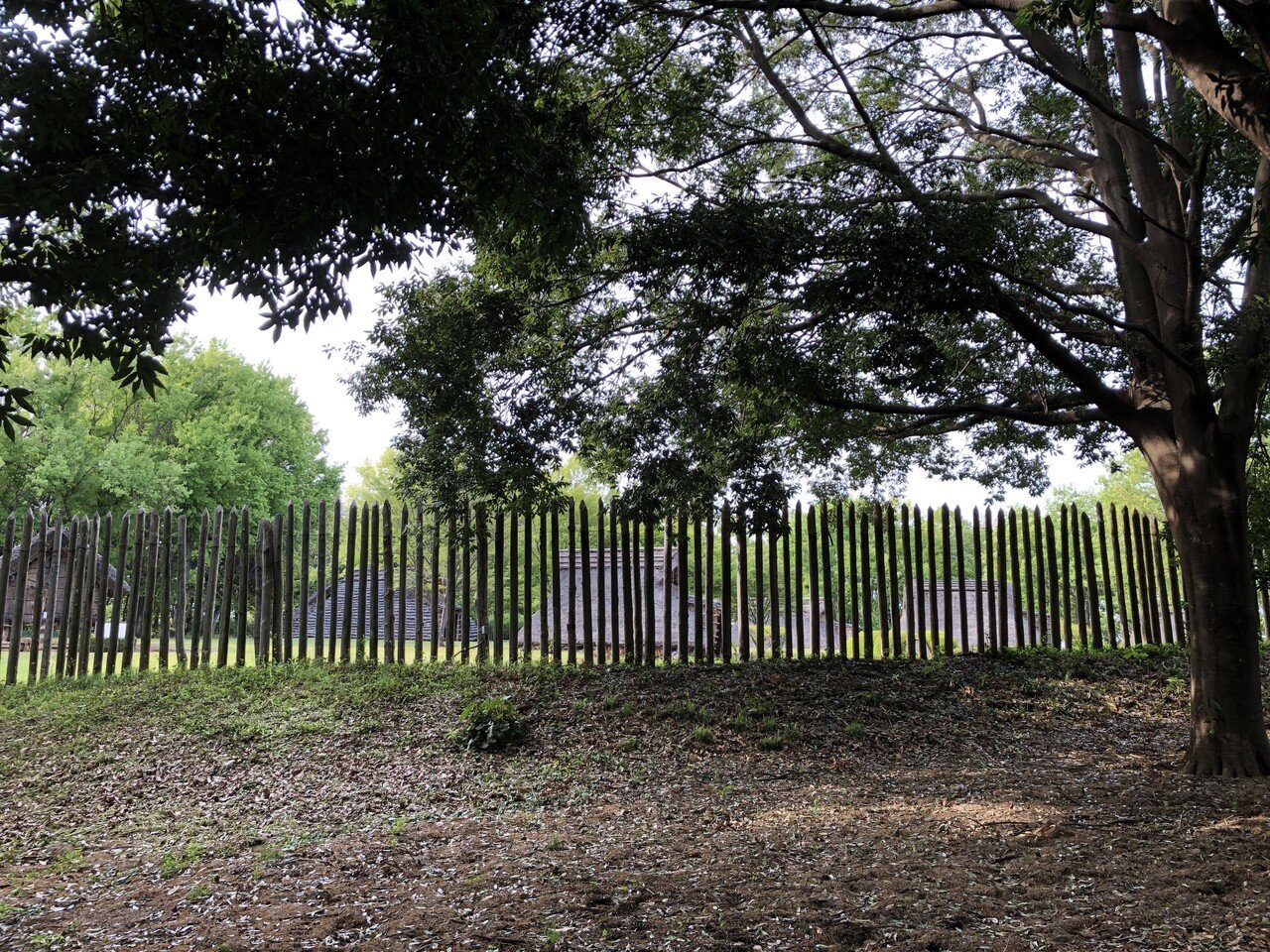 大塚遺跡 早渕川遺跡紀行 3 とぅーむゅらす Note 大塚遺跡 早渕川遺跡紀行 3 とぅーむゅらす Note