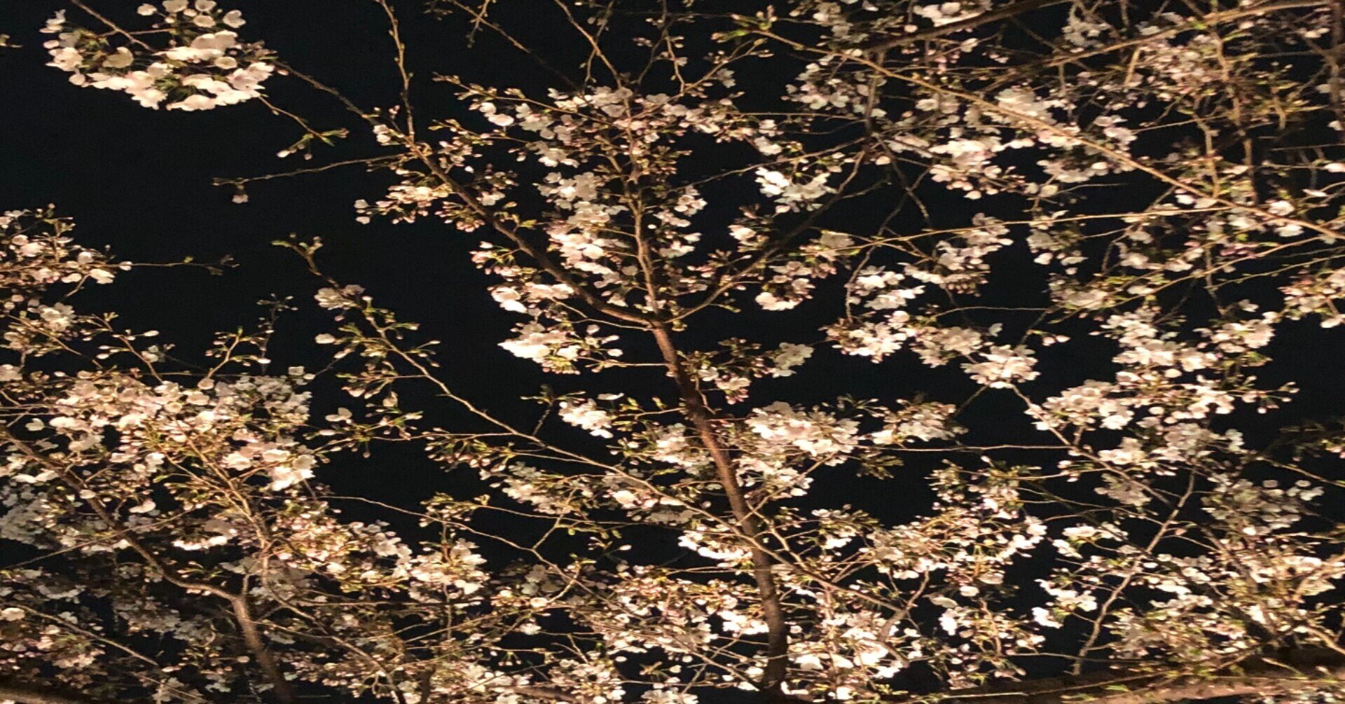 二―バーの祈り」を読み直す｜H.Fukuzawa