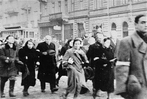 画像15