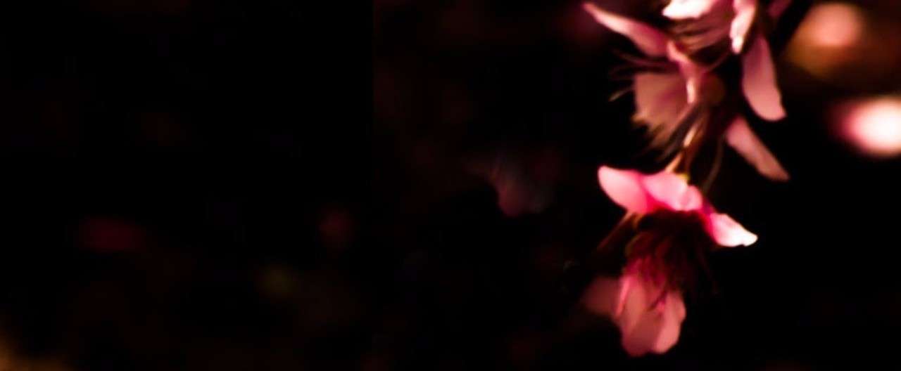 明け透け の新着タグ記事一覧 Note つくる つながる とどける