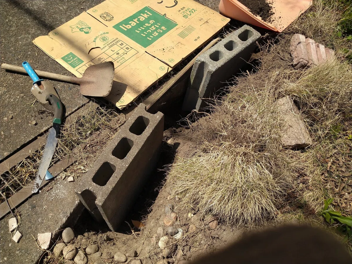 画像13