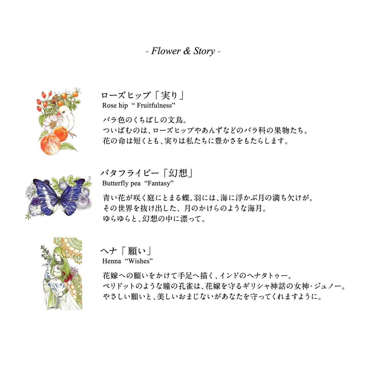 在庫一掃売り切りセール Mizuiro おはなのクレヨン Standard 5色 安全 安心 ギフト 贈り物 お花のクレヨン クレヨン 知育 お絵描き セット スタンダード Shipsctc Org