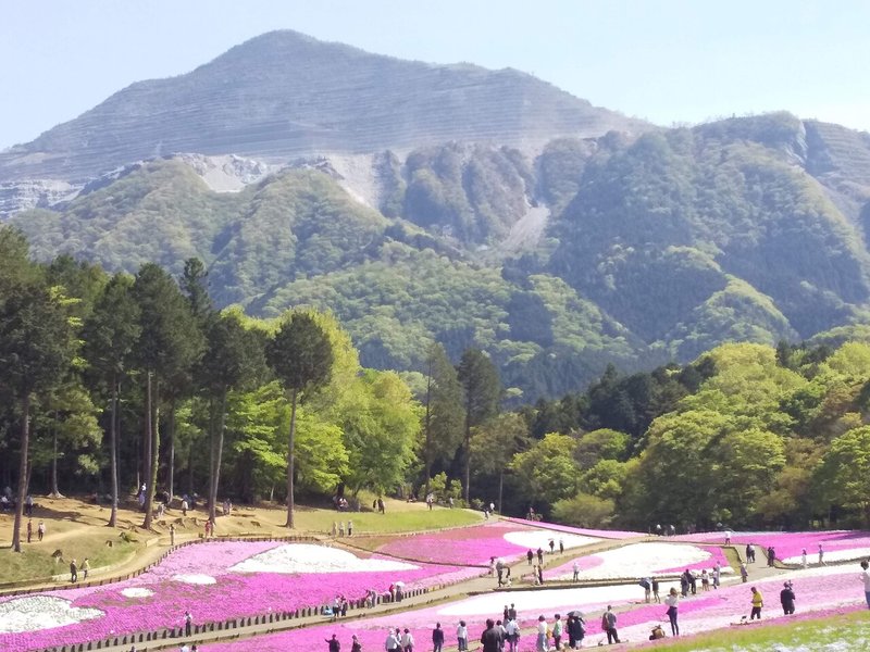 20210423秩父22武甲山その3