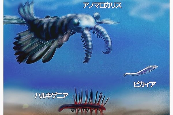 ピカイア の新着タグ記事一覧 Note つくる つながる とどける ピカイア の新着タグ記事一覧 Note つくる つながる とどける