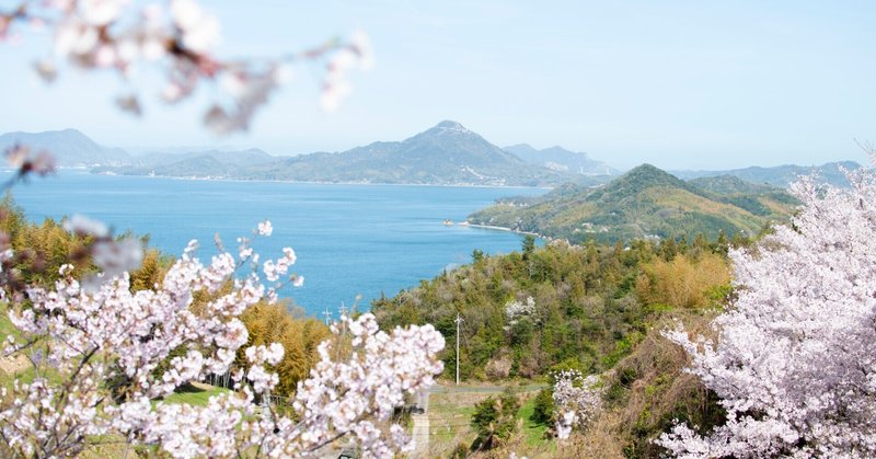 桜と家族と海。ひさしぶりに家族で外出したお話。