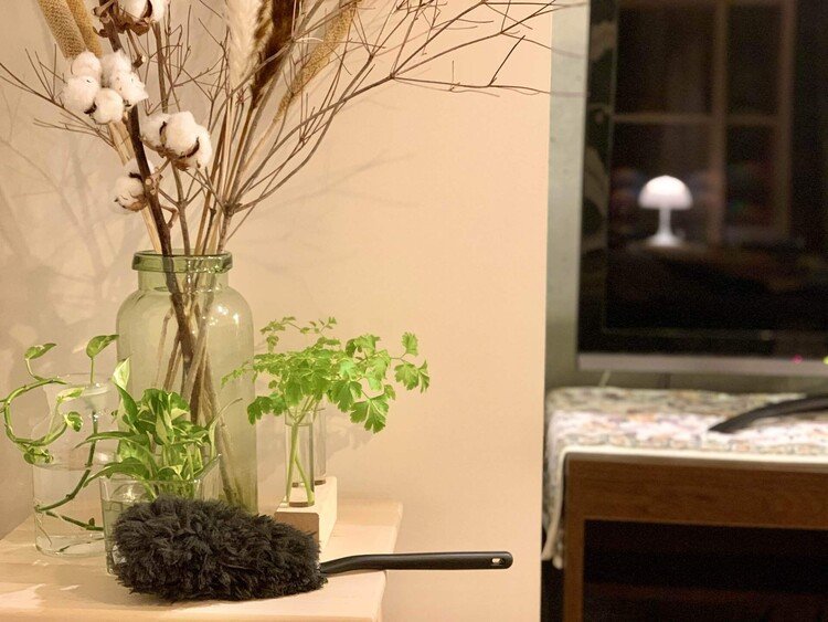 RoomClipにて花王株式会社さんのクイックルシリーズのモニター中です✨この黒いもふもふが埃をばっちり吸着してくれるクイックルハンディ。うちは植物を入れている花瓶類が多いのですが、ちょこっとそうじの時はこのクイックルハンディでらくらく綺麗にしています☺️小物周りや、本棚、テレビやオーディオ周りなど大活躍。こまめに掃除をすると家事の負担も減るし、もふもふ部分だけ買い替えもできるので便利で気に入っています☺️