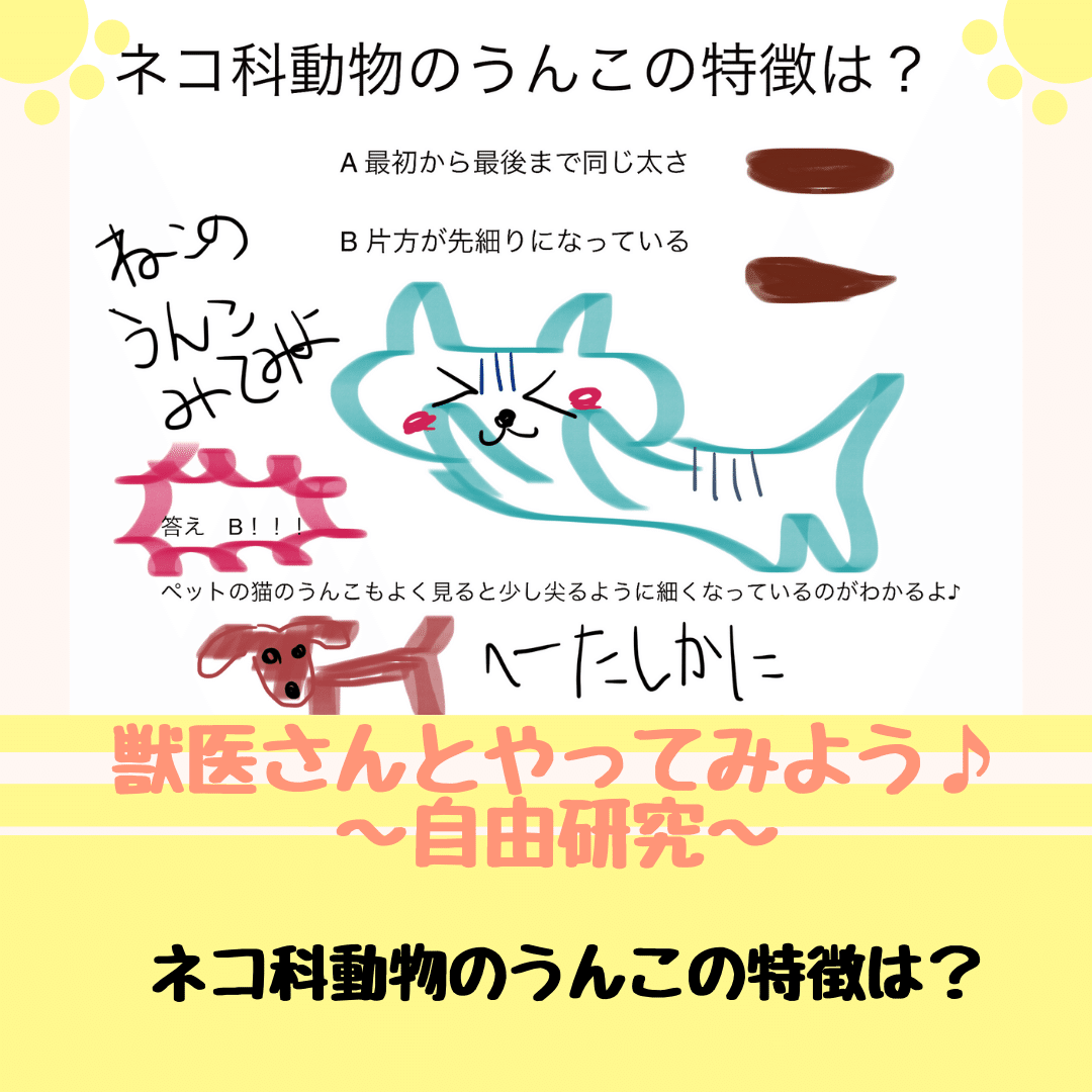 ネコ科動物のうんこの特徴は 獣医師ふーの 獣医さんとやってみよう自由研究 Note