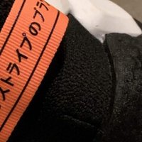 ペットのドジョウ ショウジカナタ Note