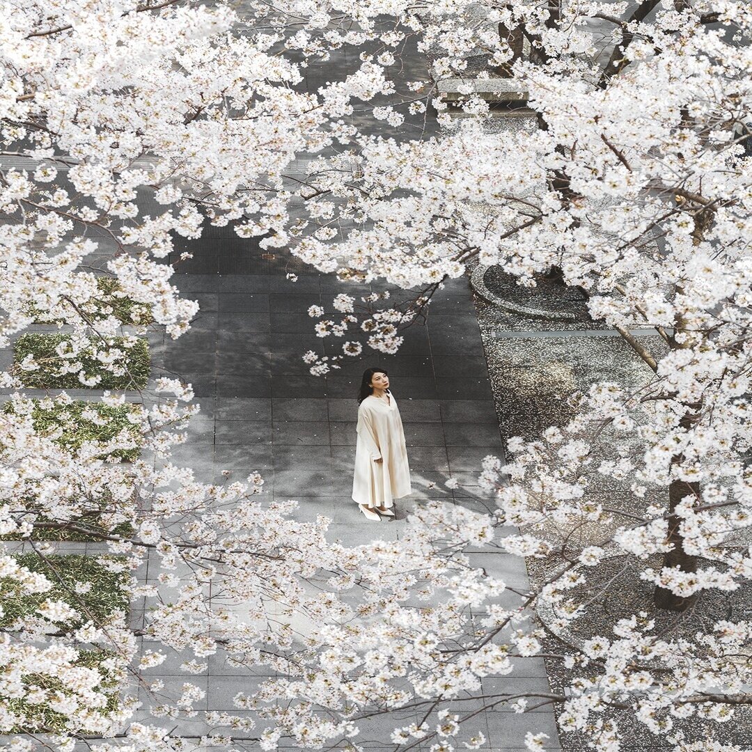 自ら分析する撮影のポイント 9 光と影を使って簡単に被写体を際立たせる方法 岩田 量自 Note