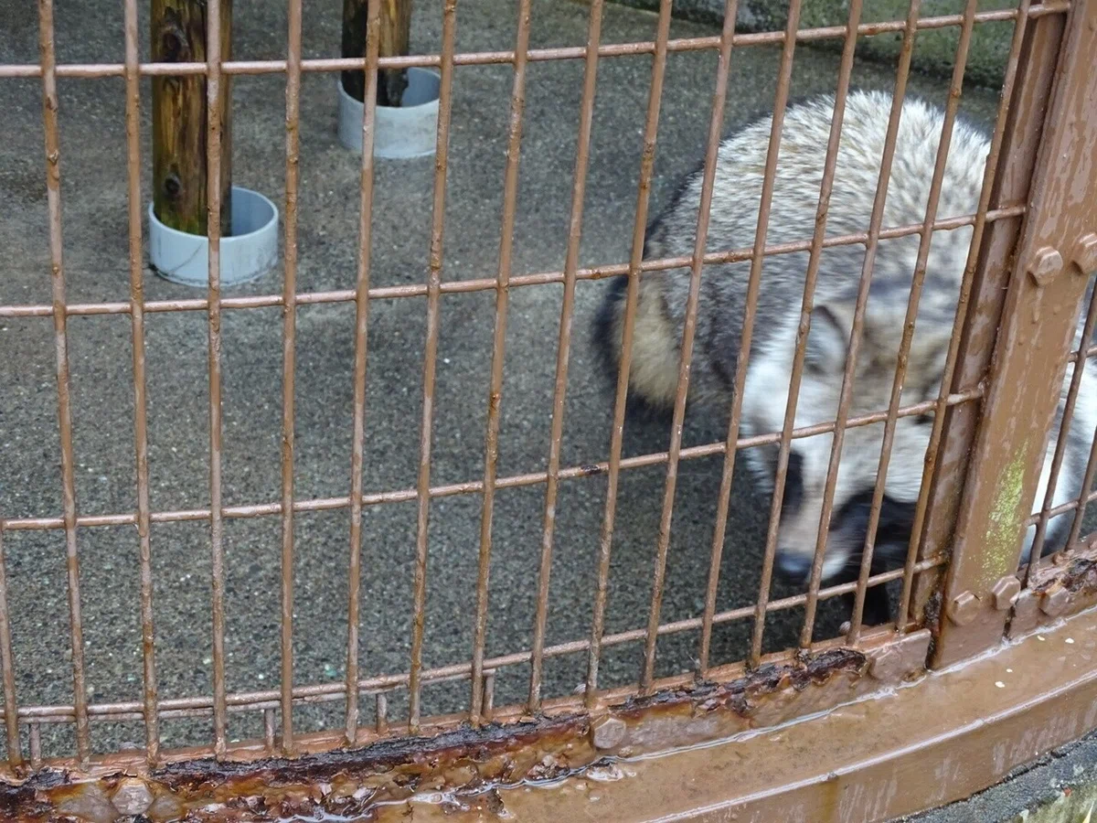 画像12